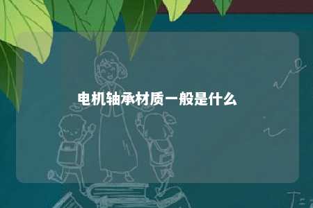 电机轴承材质一般是什么 