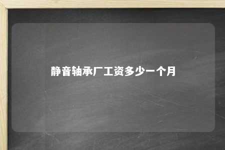 静音轴承厂工资多少一个月 